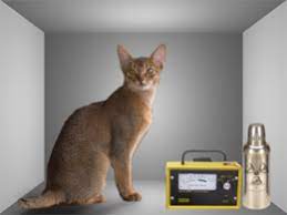 De kat van Schrödinger