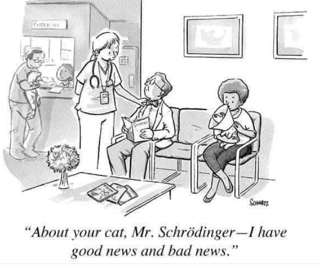 schrodinger cat cartoon